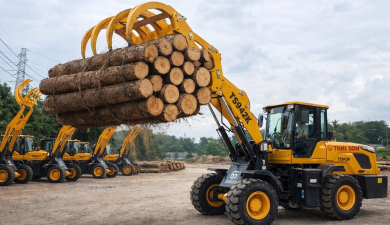 Xe Kẹp Gỗ Dĩ An Bình Dương