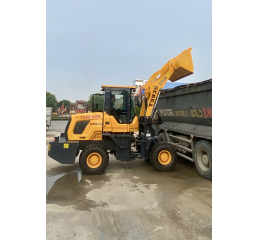 Xe Xúc Lật TS930