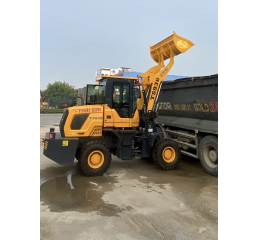 Xe Xúc Lật TS930