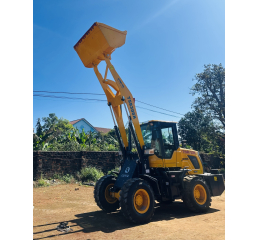 Xe Xúc Lật TS930G 