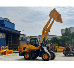 Xe Xúc Lật TS942G 