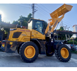 Xe Xúc Lật TS950