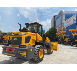 Xe Xúc Lật TS950G
