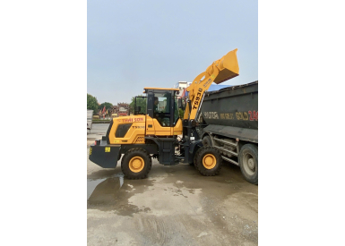 Xe Xúc Lật TS930
