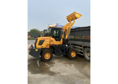 Xe Xúc Lật TS930