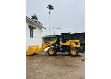 Xe Xúc Lật TS930G 