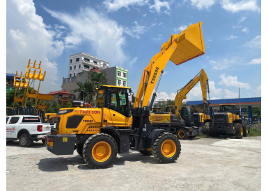 Xe Xúc Lật TS950G