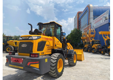 Xe Xúc Lật TS950G