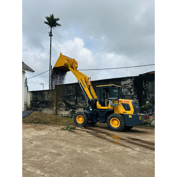 Xe Xúc Lật TS930G 
