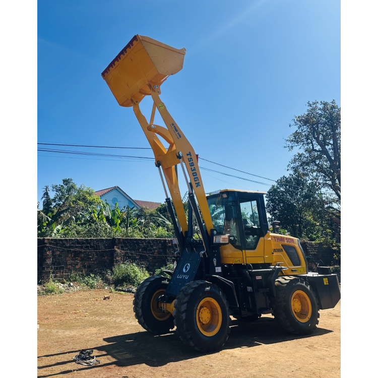Xe Xúc Lật TS930G 