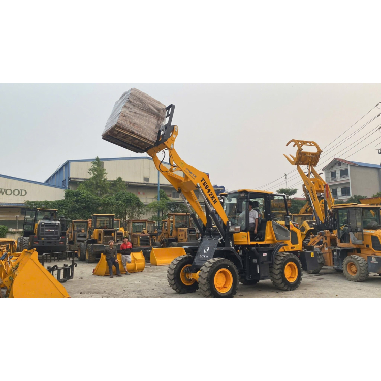 Xe Xúc Lật Đa Năng TS942KH