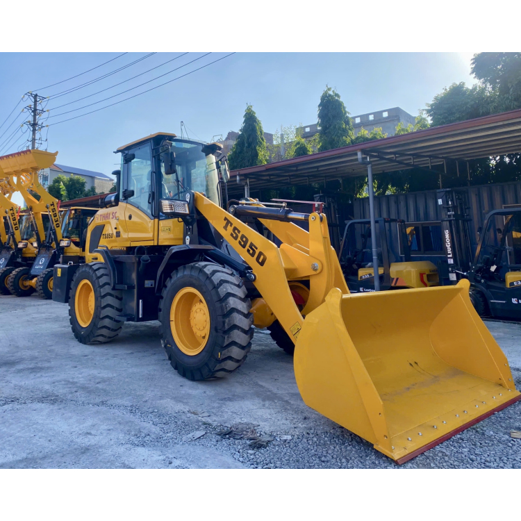 Xe Xúc Lật TS950